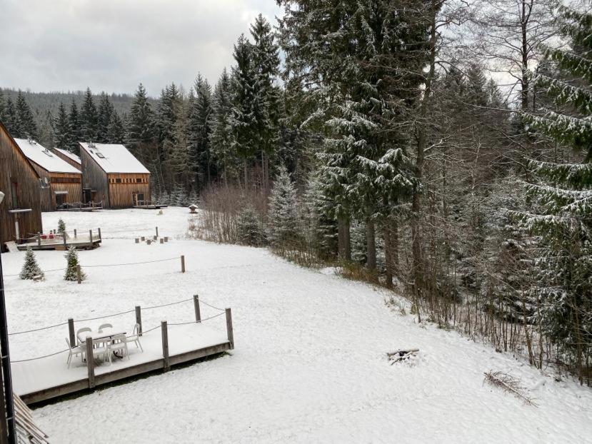 Horsky Chalet Harrachov Eksteriør billede