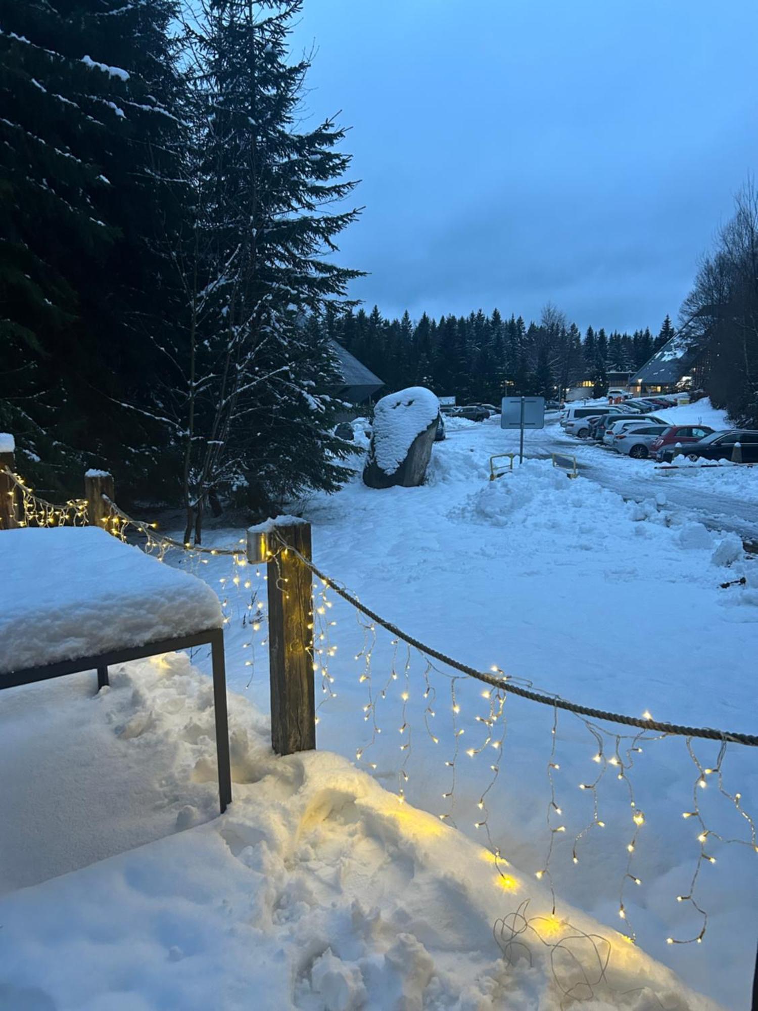 Horsky Chalet Harrachov Eksteriør billede
