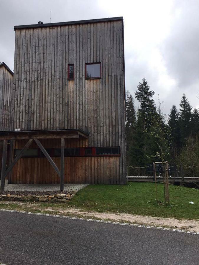 Horsky Chalet Harrachov Eksteriør billede